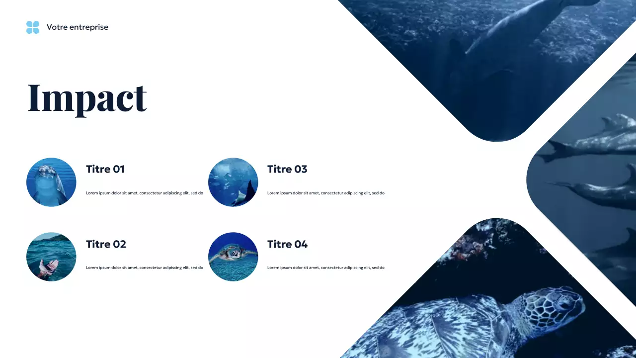 Présentation de Blue Ocean Sustainable Earth