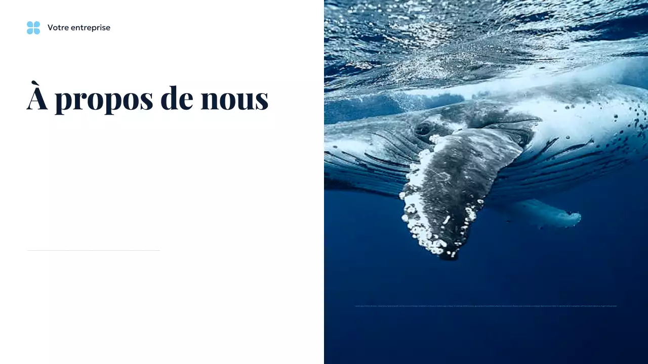 Présentation de Blue Ocean Sustainable Earth