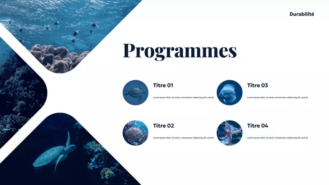 Présentation de Blue Ocean Sustainable Earth