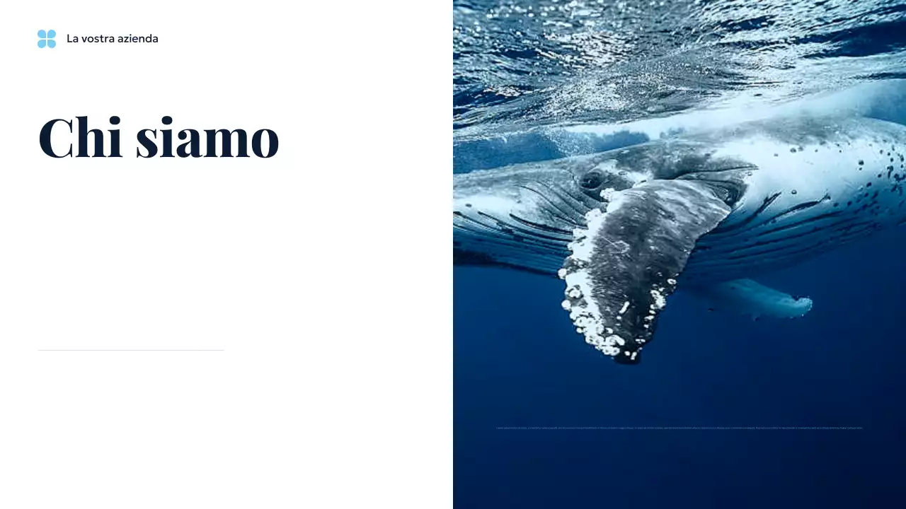 Presentazione di Blue Ocean Sustainable Earth