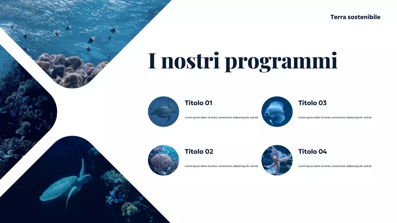 Presentazione di Blue Ocean Sustainable Earth