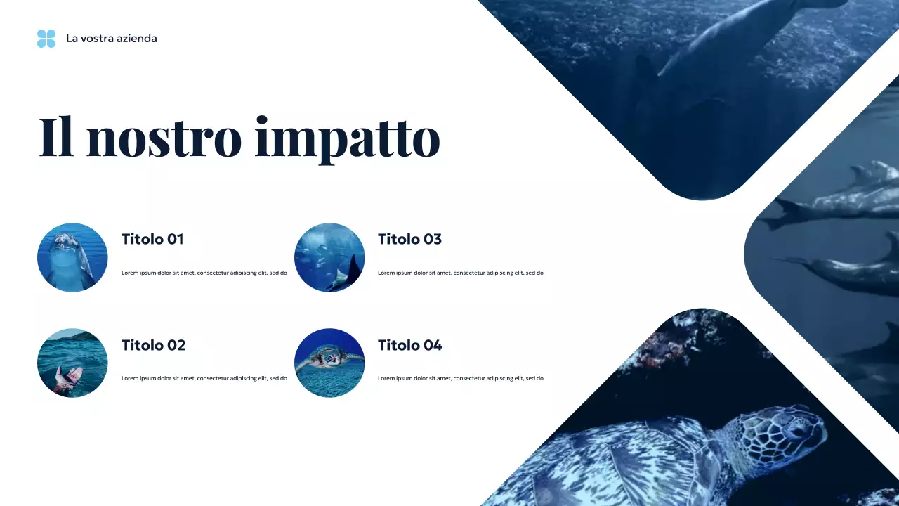 Presentazione di Blue Ocean Sustainable Earth