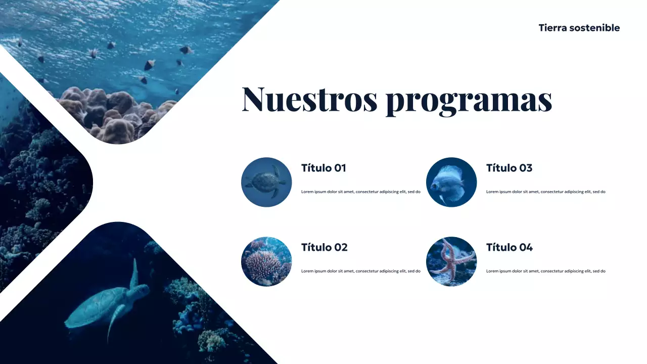 Presentación de la Tierra Sostenible del Océano Azul