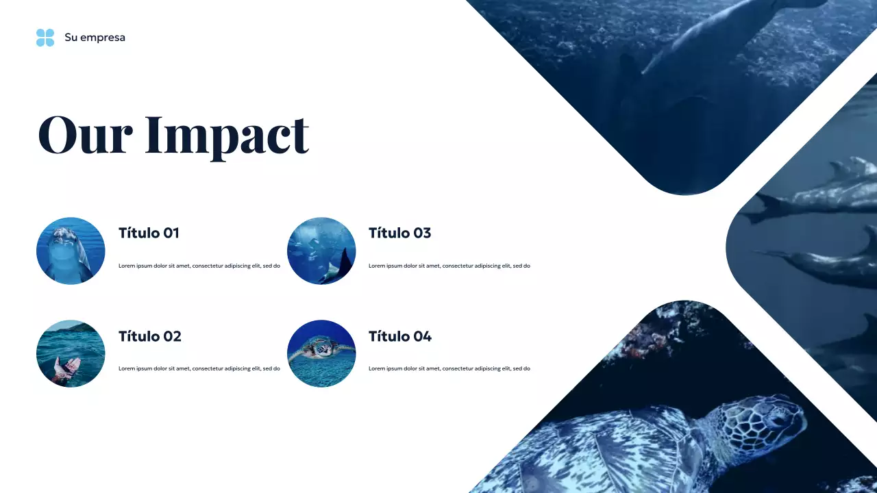 Presentación de la Tierra Sostenible del Océano Azul