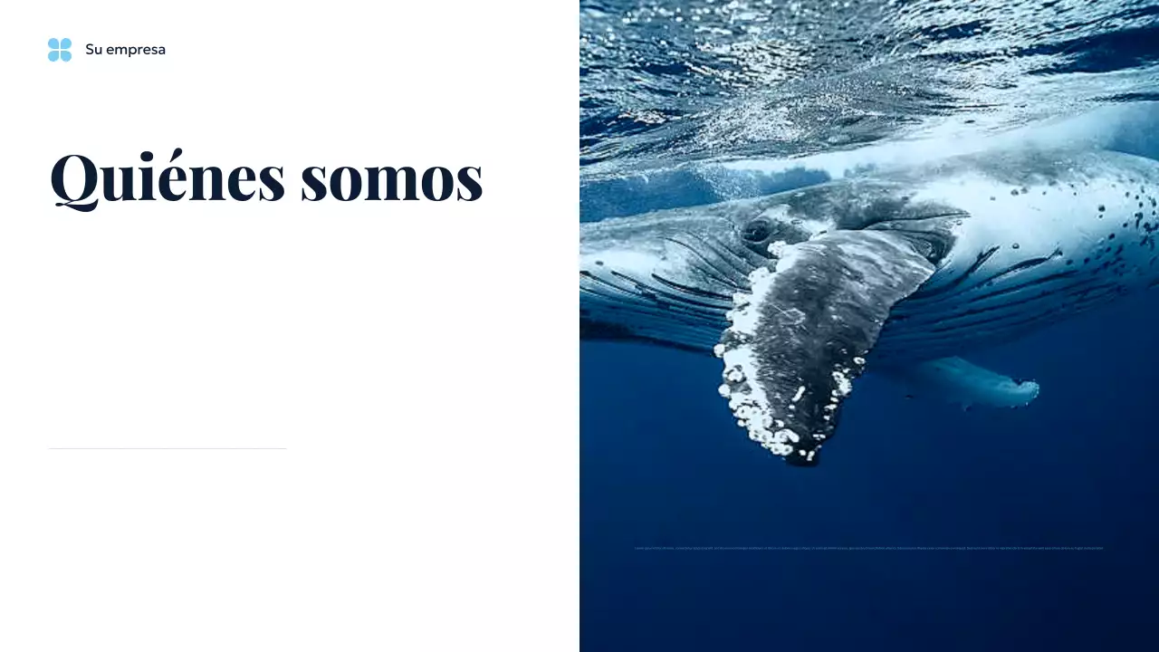 Presentación de la Tierra Sostenible del Océano Azul