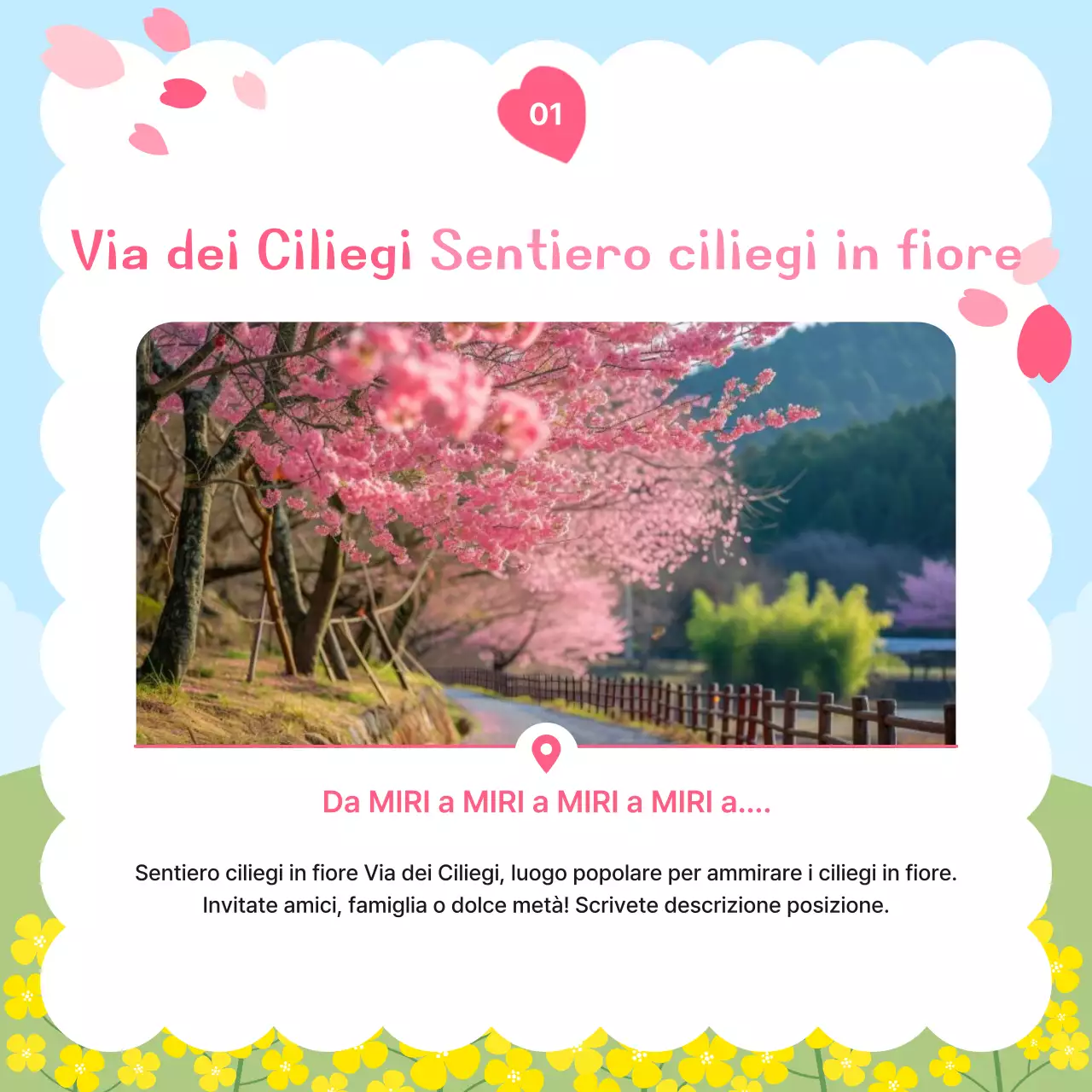 Promozione viaggio per neonati Sky Blue