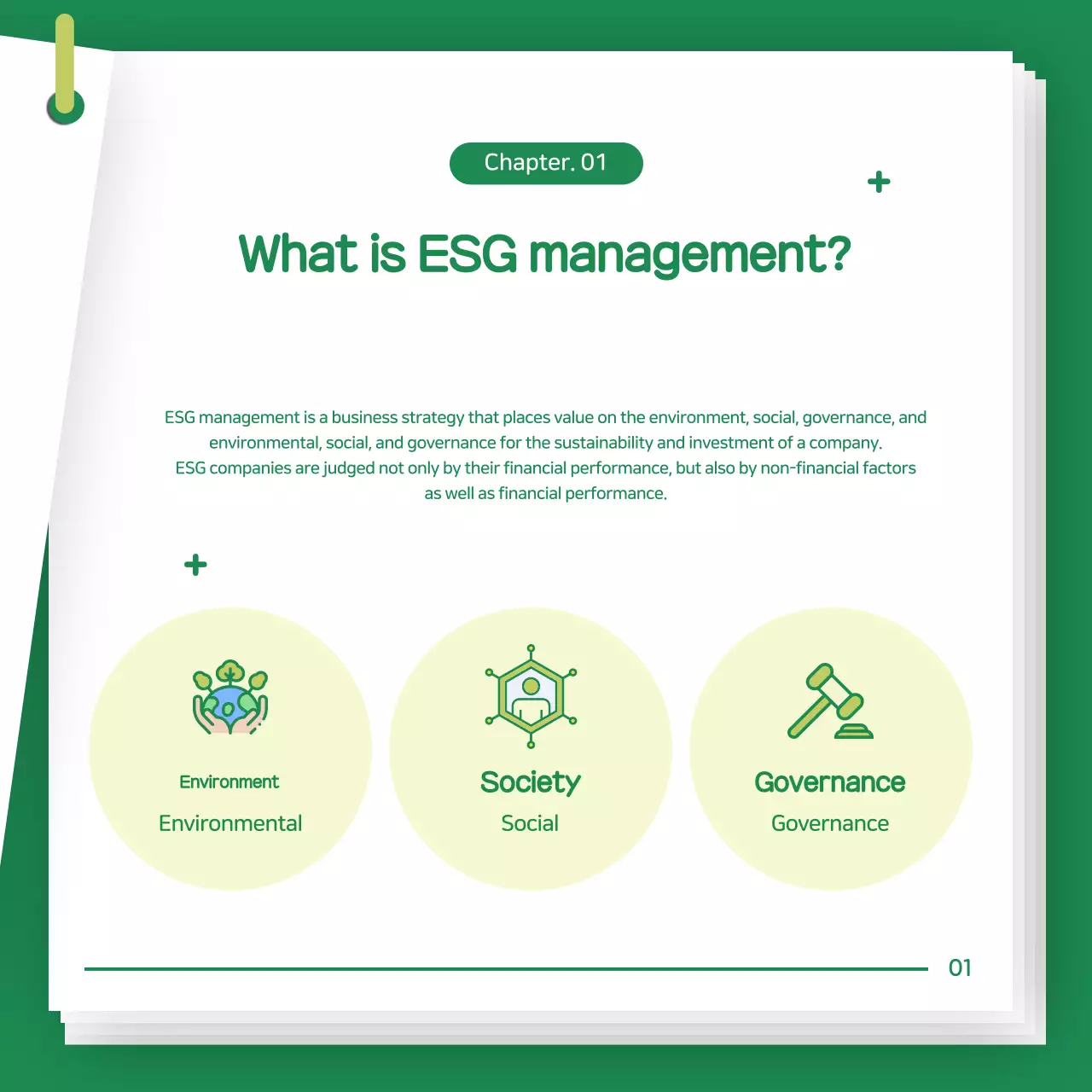 Introdução à Gestão ESG da Green Baby Company
