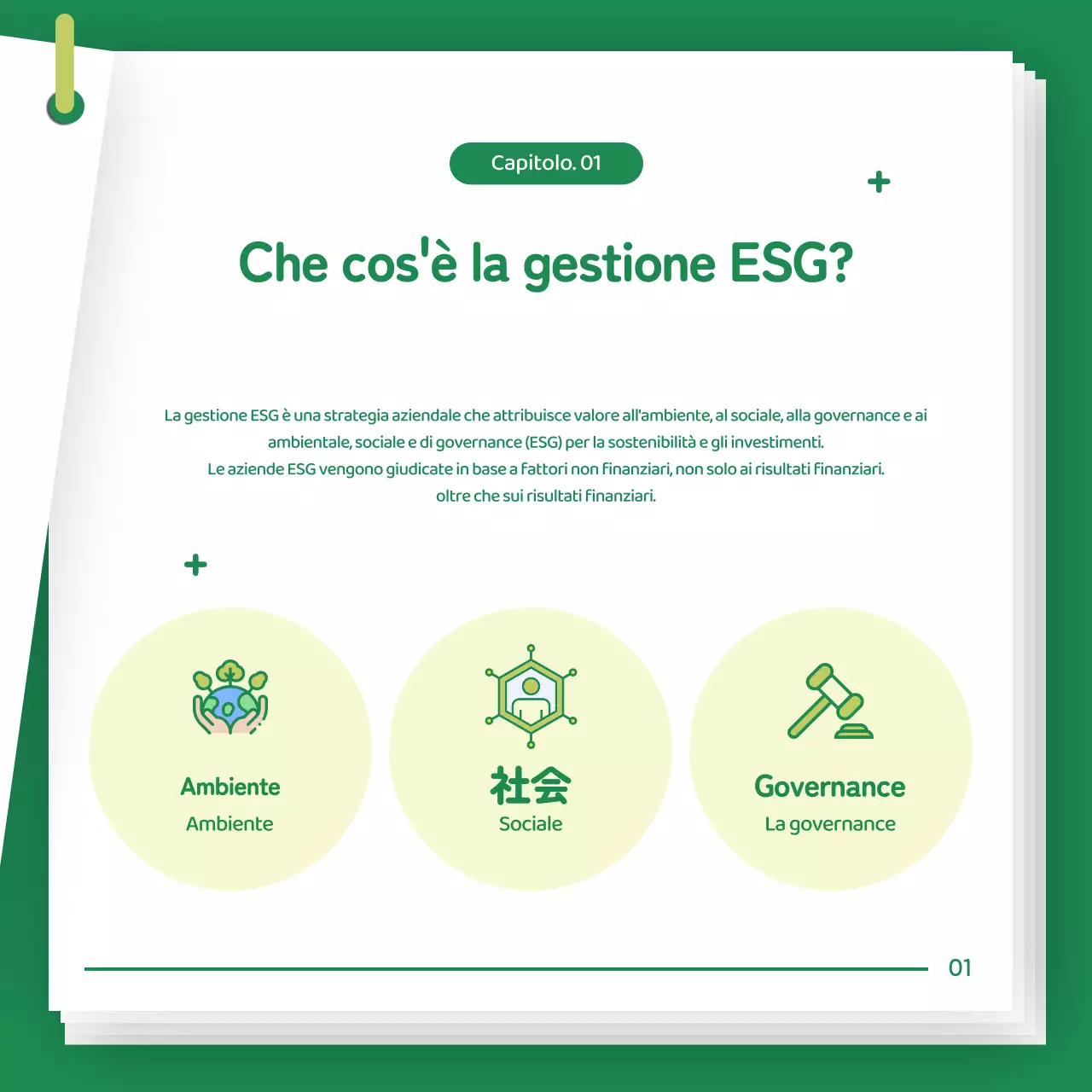 Introduzione alla gestione ESG della Green Baby Company