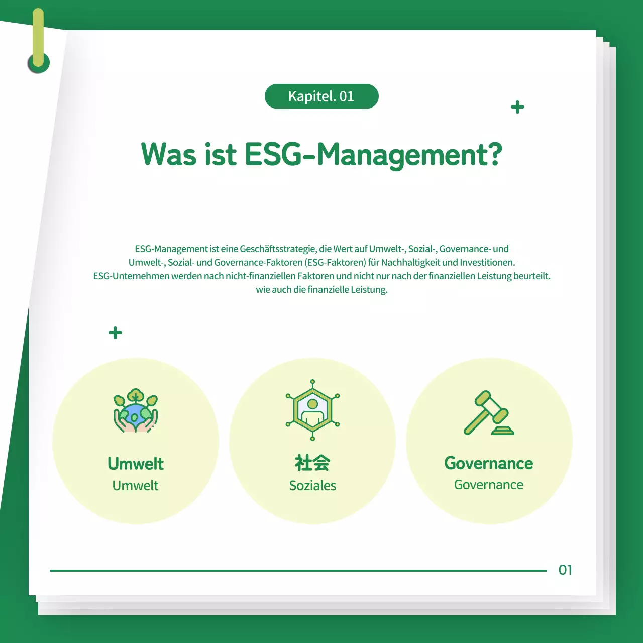 Einführung in das ESG-Management der Green Baby Company