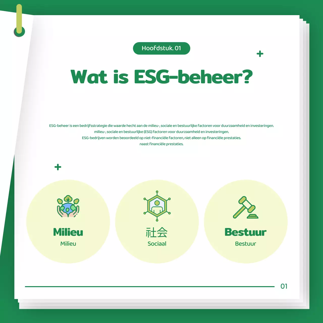 Green Baby Company ESG Management Inleiding
