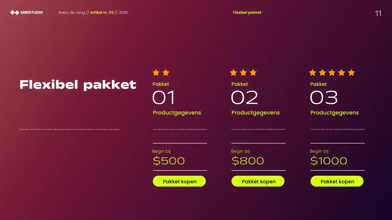 Presentatie van moderne minimalistische marketingstrategieën van Maroon