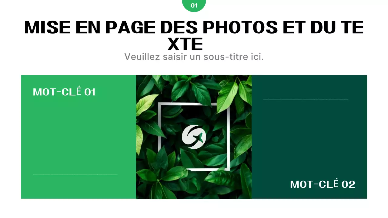 Rapport sur les entreprises vertes et modernes