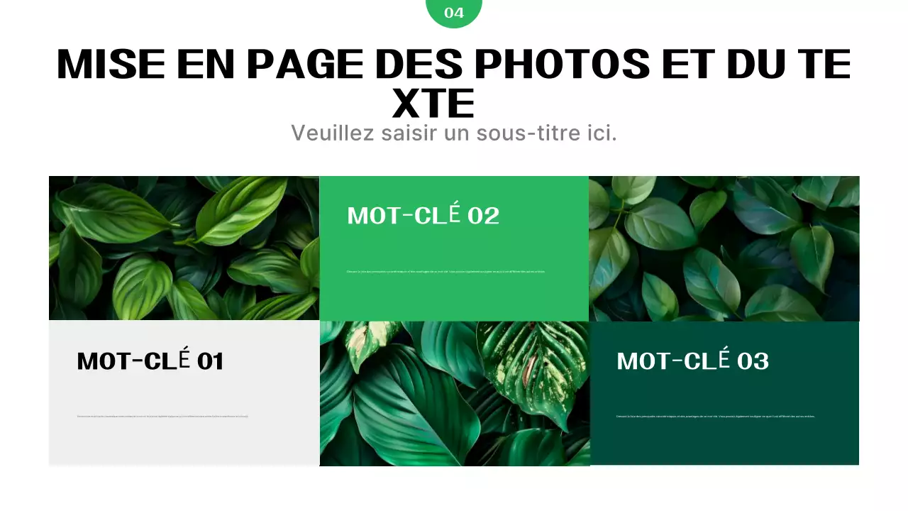 Rapport sur les entreprises vertes et modernes