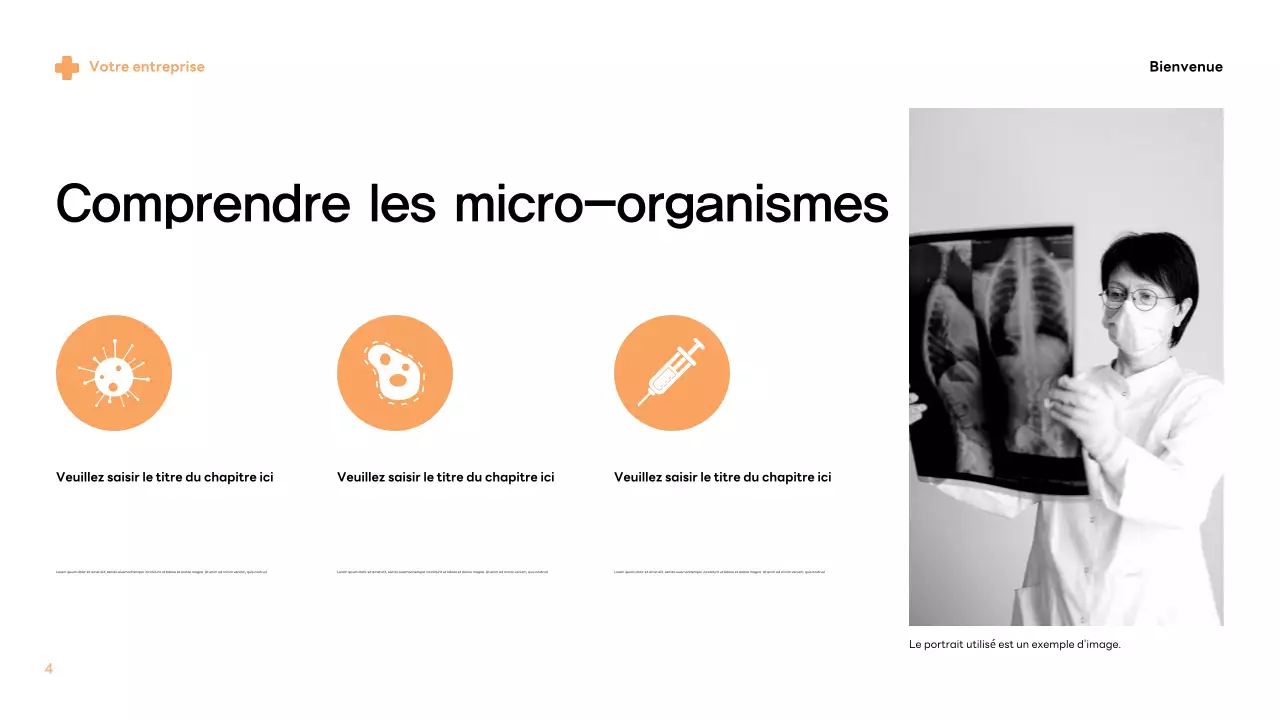 Informations sur les germes beiges modernes