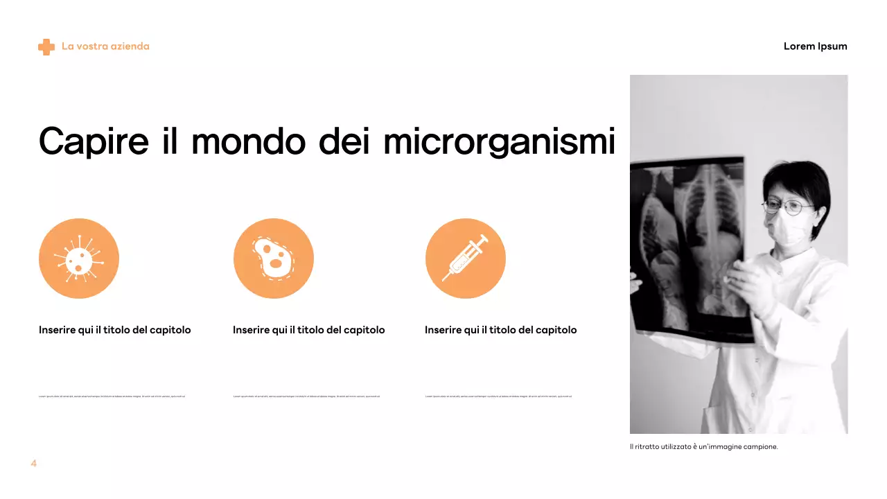 Informazioni sui germi moderni beige