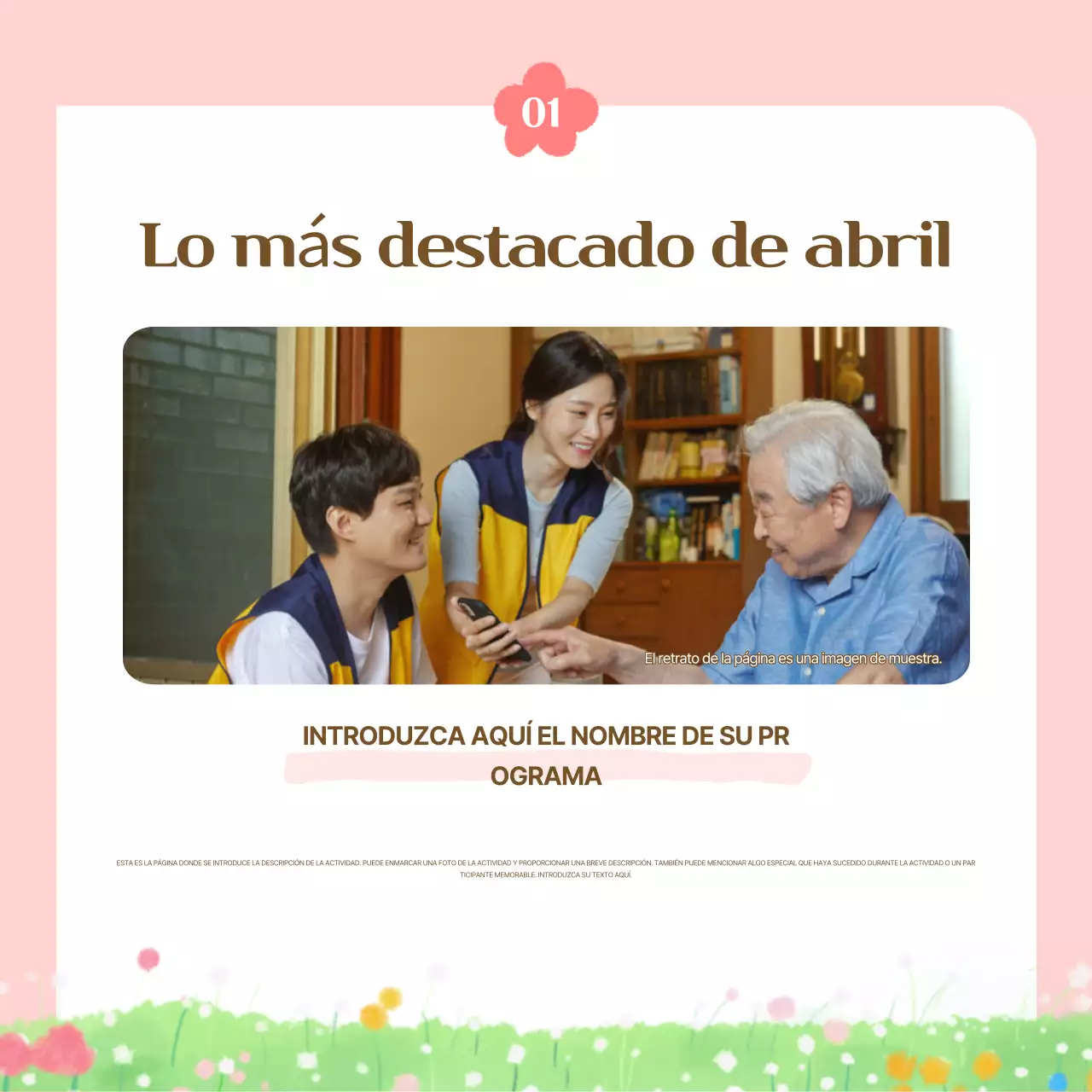 Guía del boletín informativo de Mint Baby