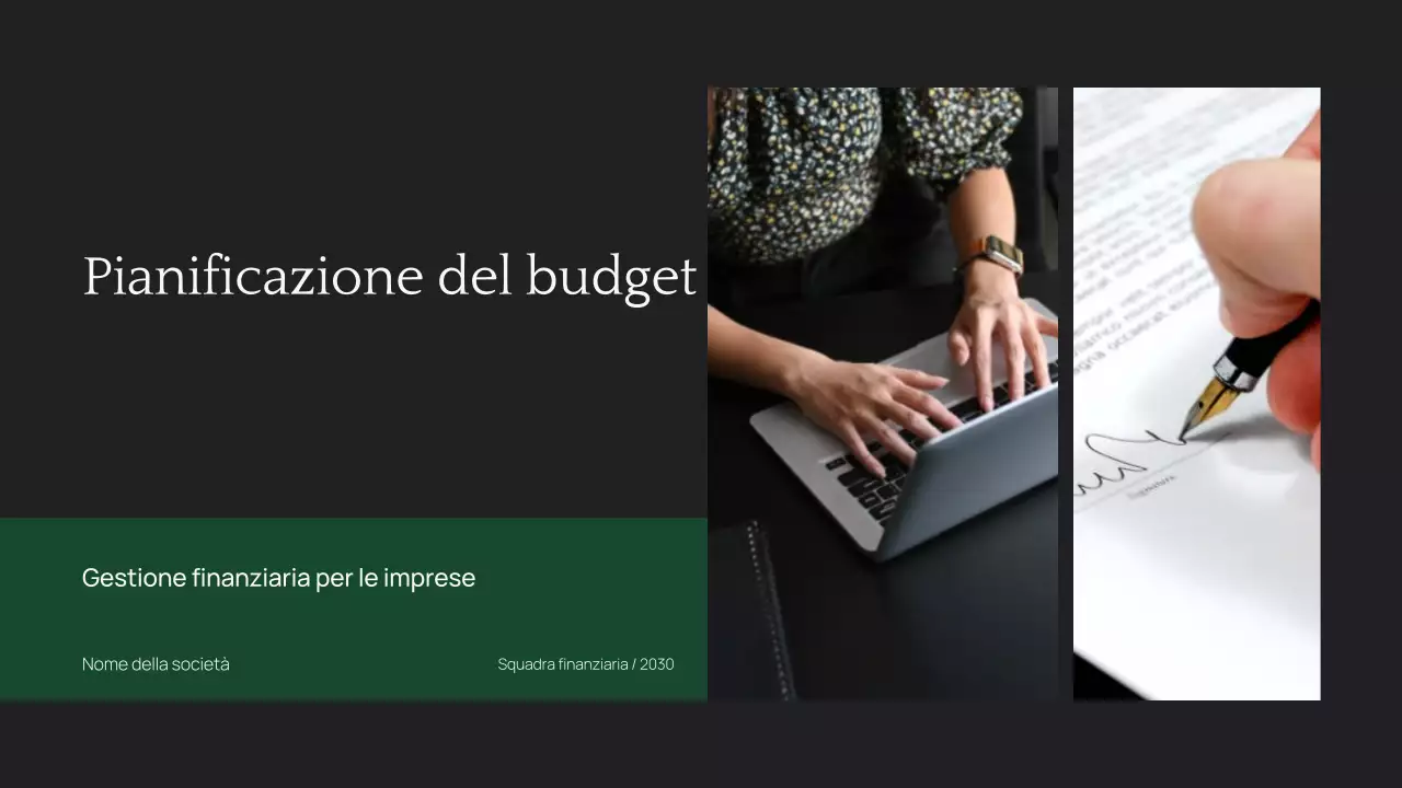 Pianificatore di budget aziendale professionale e minimo