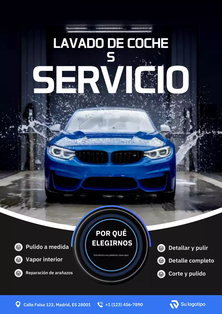 Anuncio del servicio de lavado de autos Blue Professional