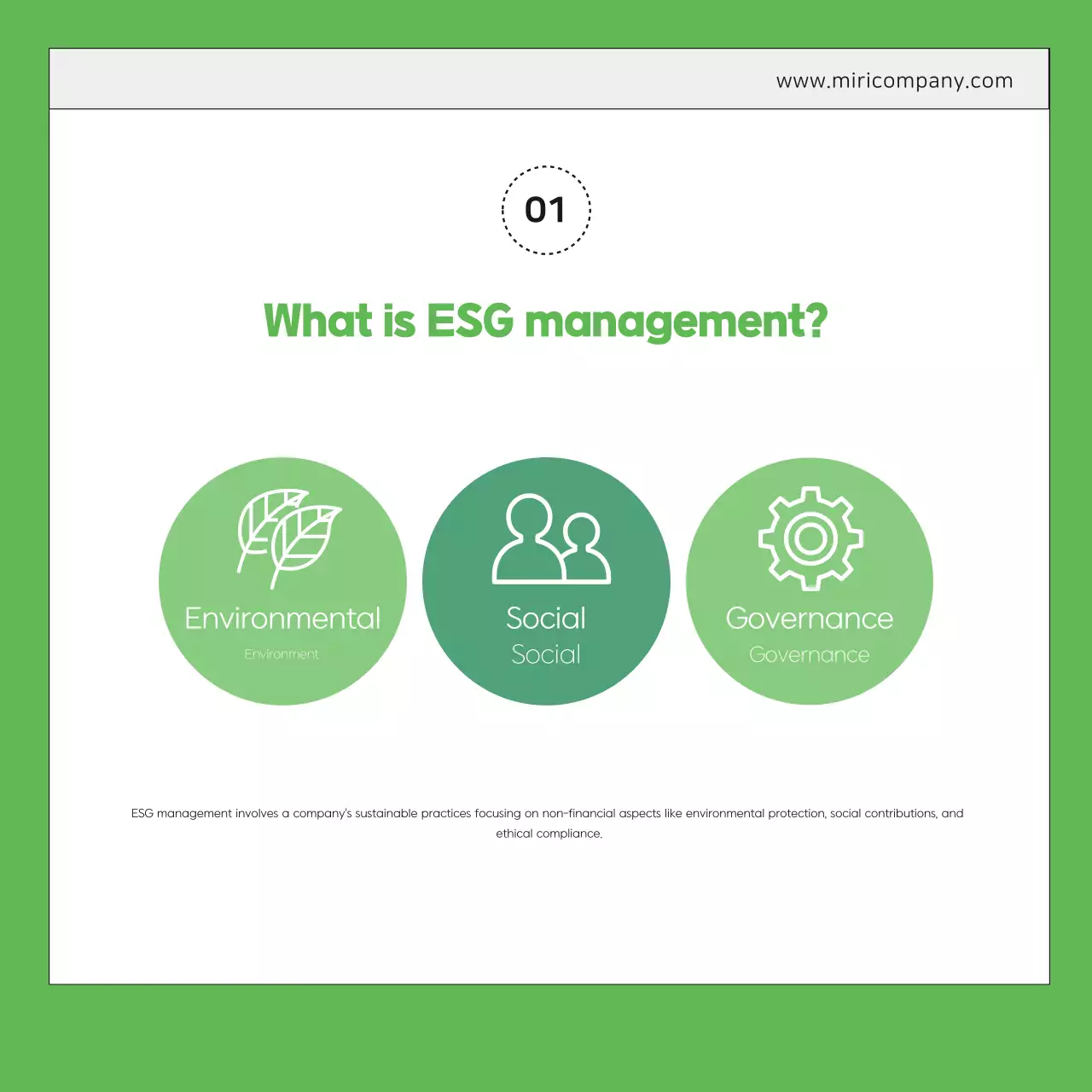 Análise do Relatório de Gestão Verde Moderna