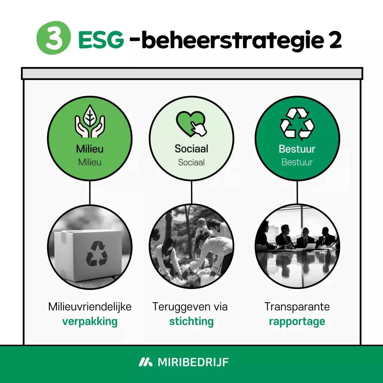 Mint Baby Milieu Campagne