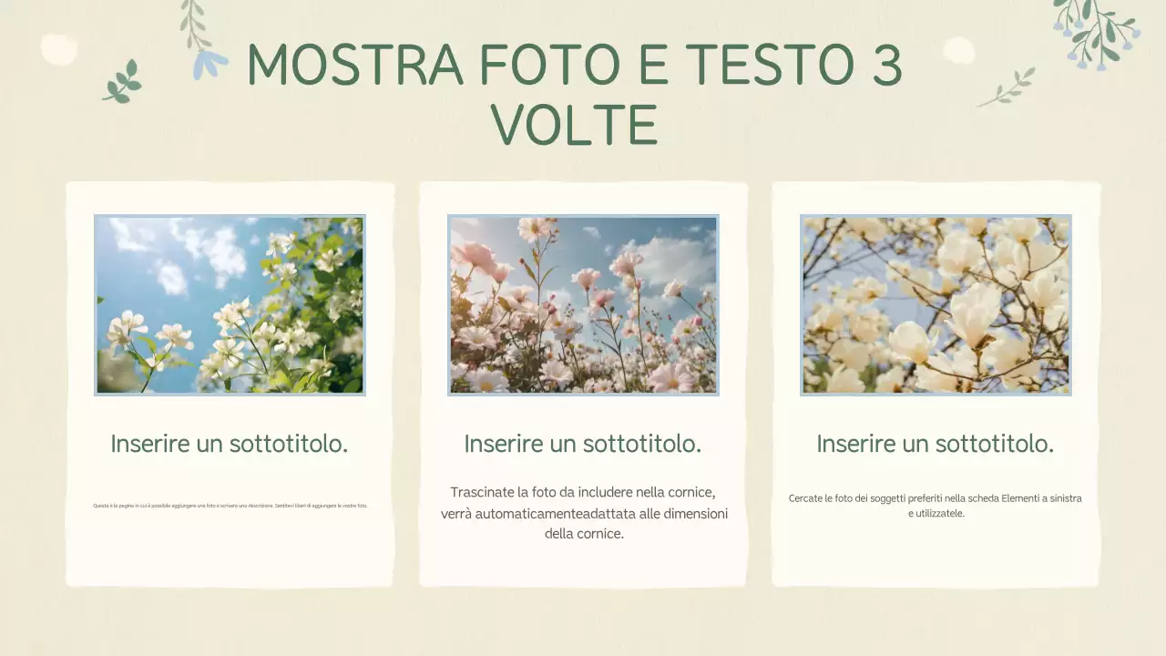 Pianificazione della presentazione del bambino beige