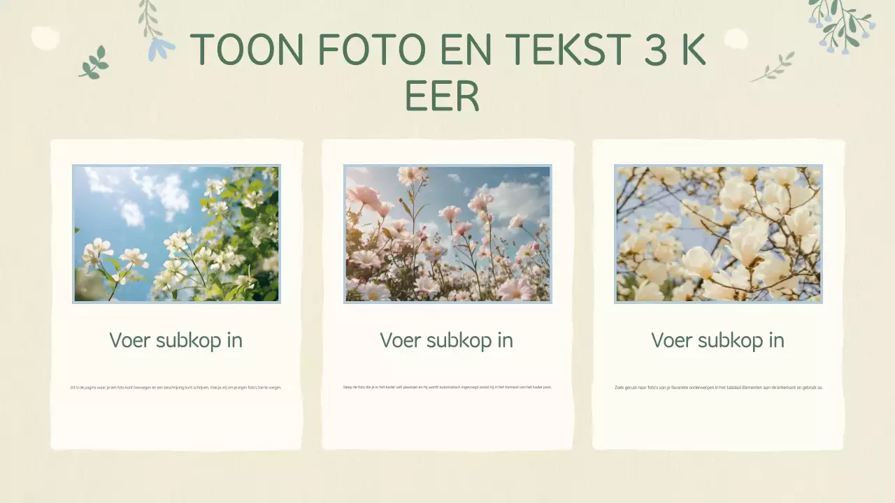 Beige Baby Presentatie Planning