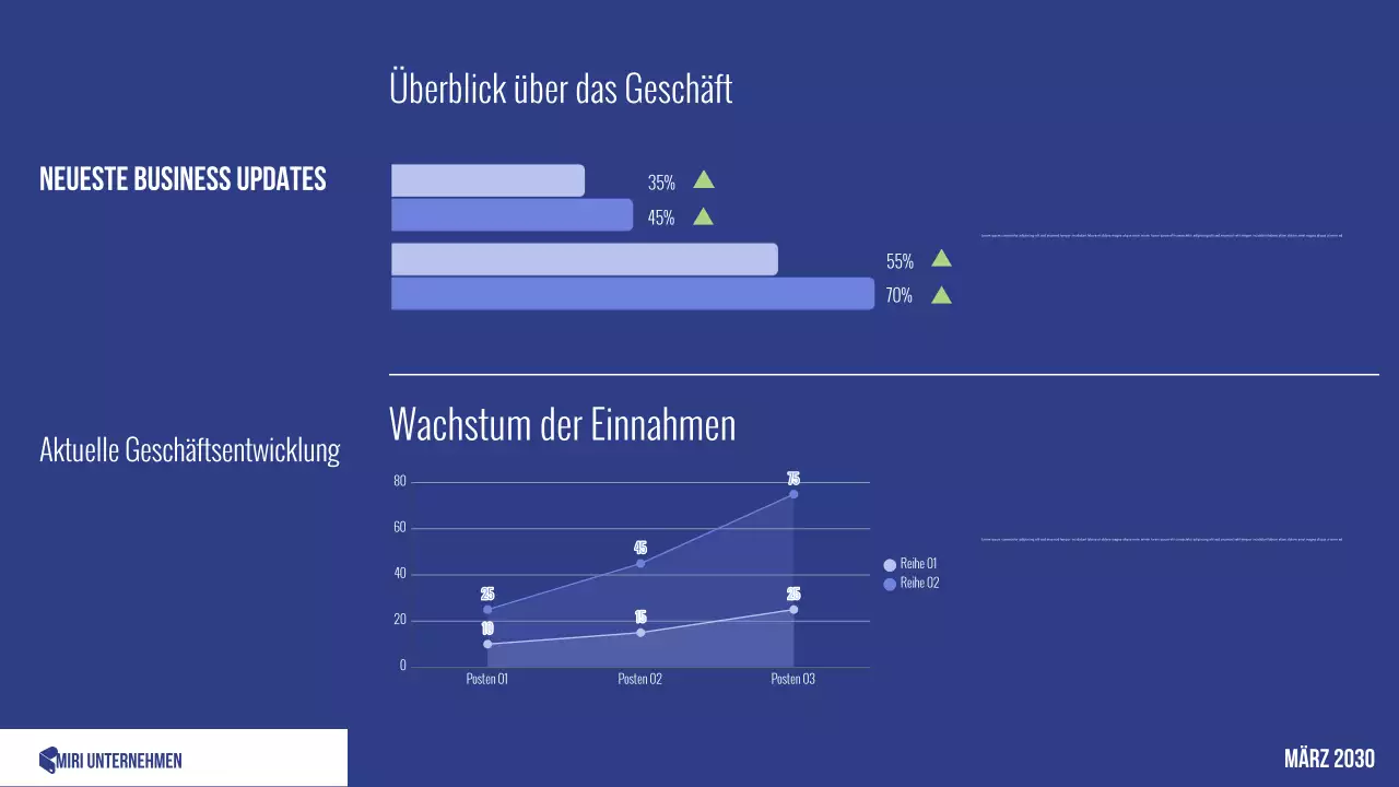 blauer professioneller Budgetplaner