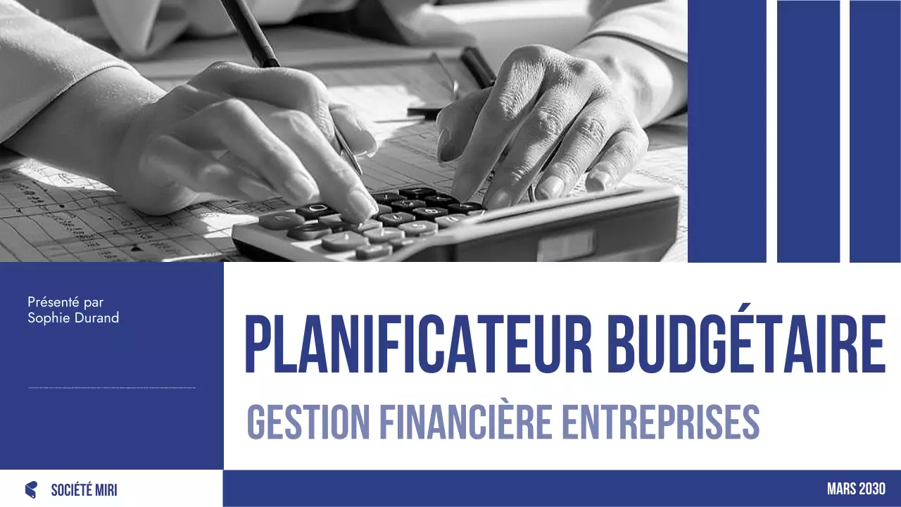 planificateur budgétaire professionnel bleu
