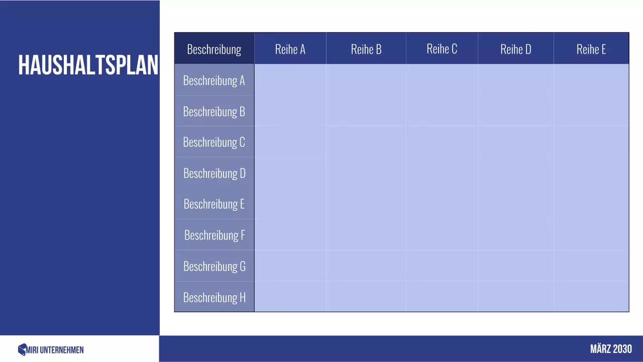 blauer professioneller Budgetplaner