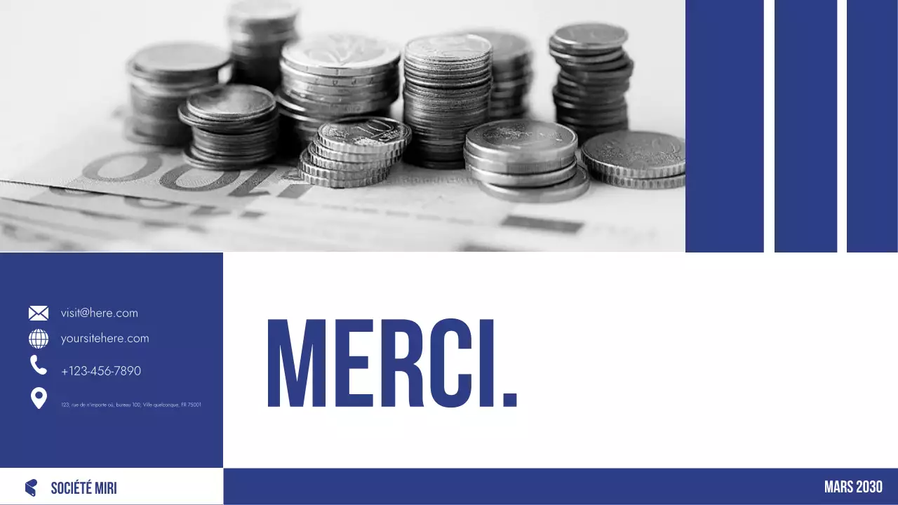 planificateur budgétaire professionnel bleu