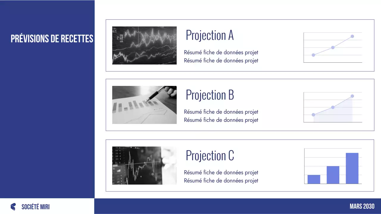 planificateur budgétaire professionnel bleu