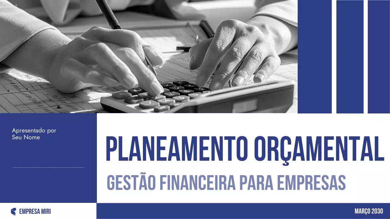 planejador de orçamento profissional azul