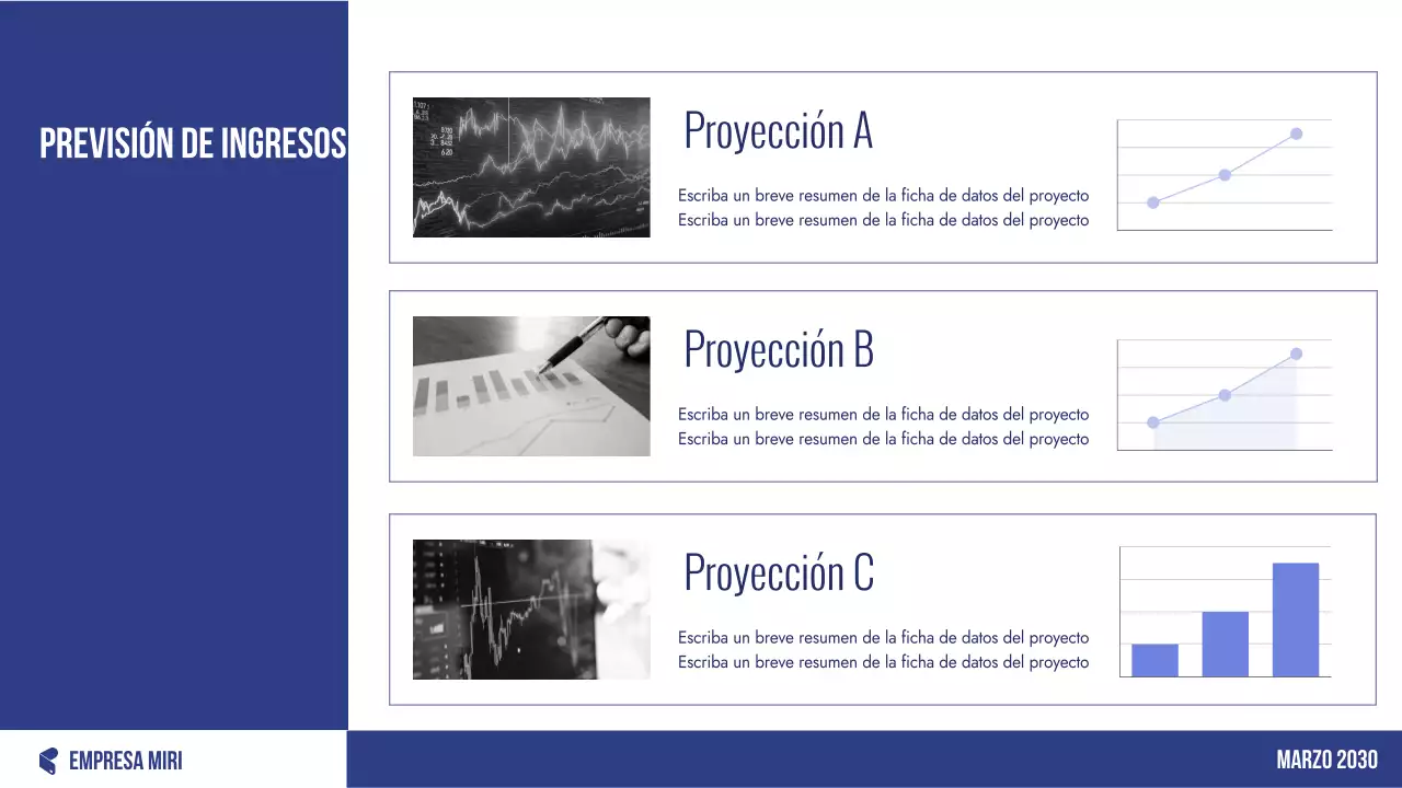 Planificador de presupuesto profesional azul
