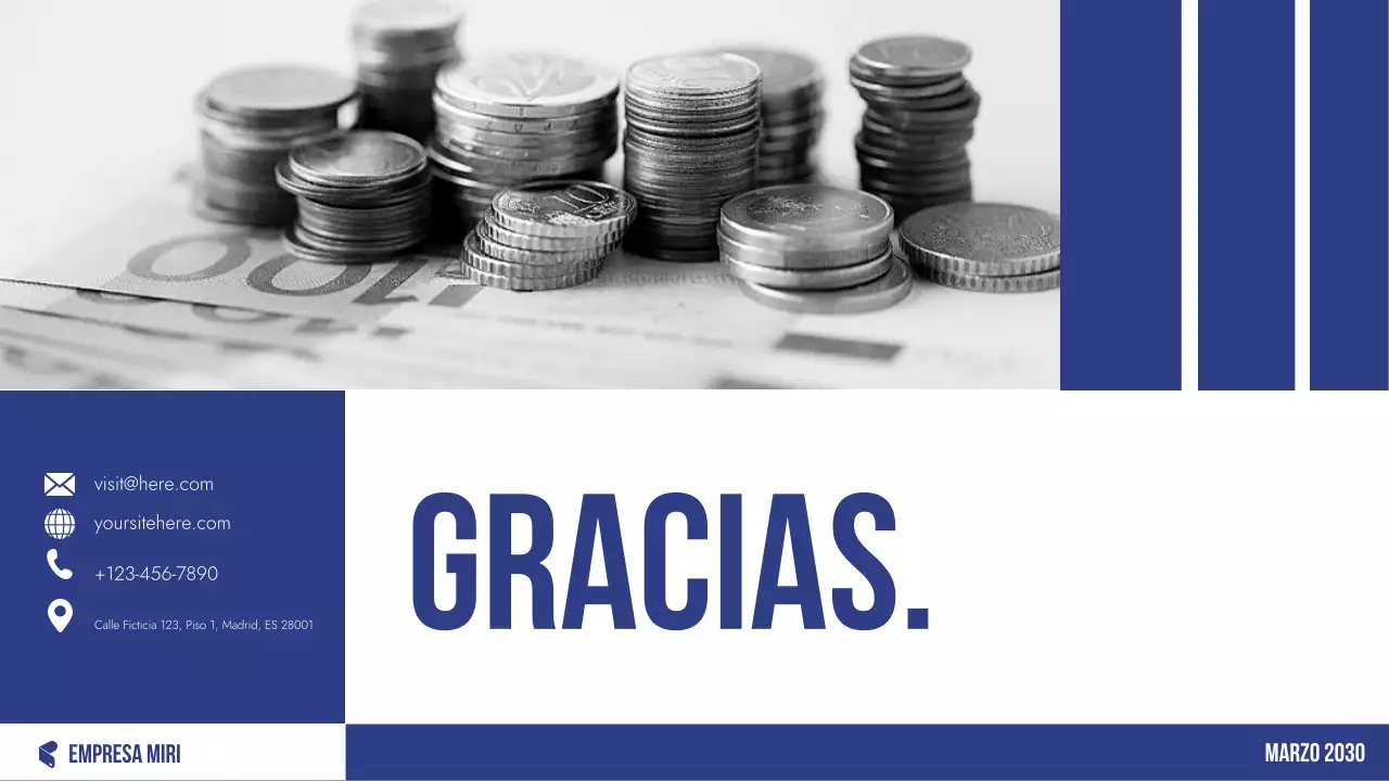 Planificador de presupuesto profesional azul