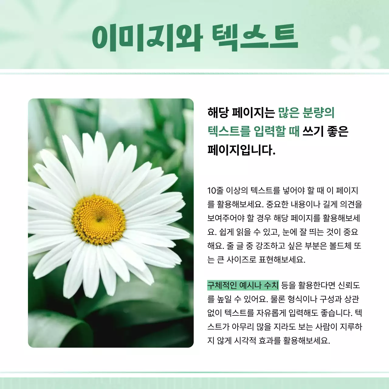 민트 심플 카드뉴스 홍보