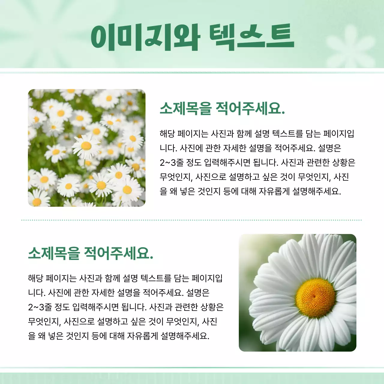 민트 심플 카드뉴스 홍보