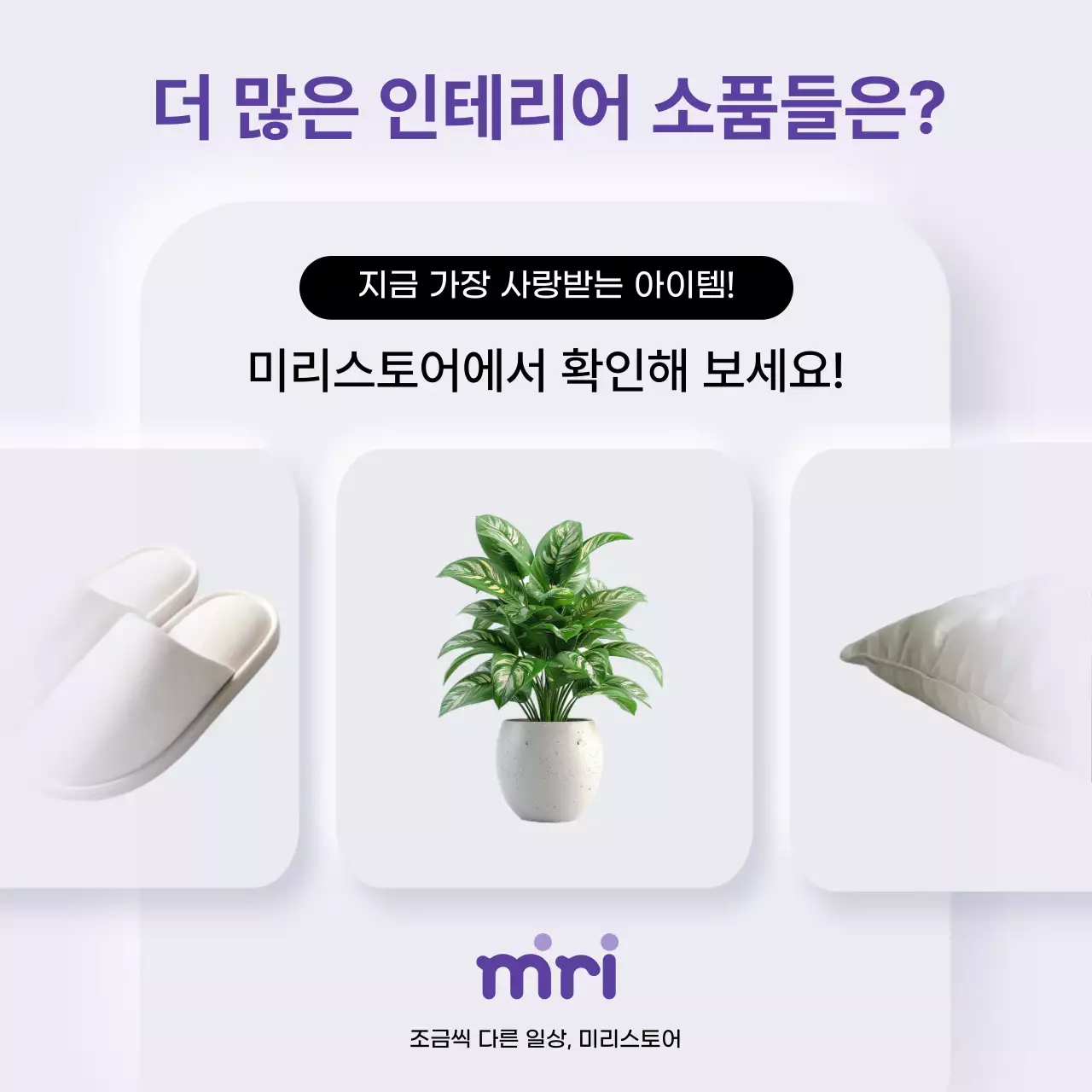 보라 깔끔 선물 제안