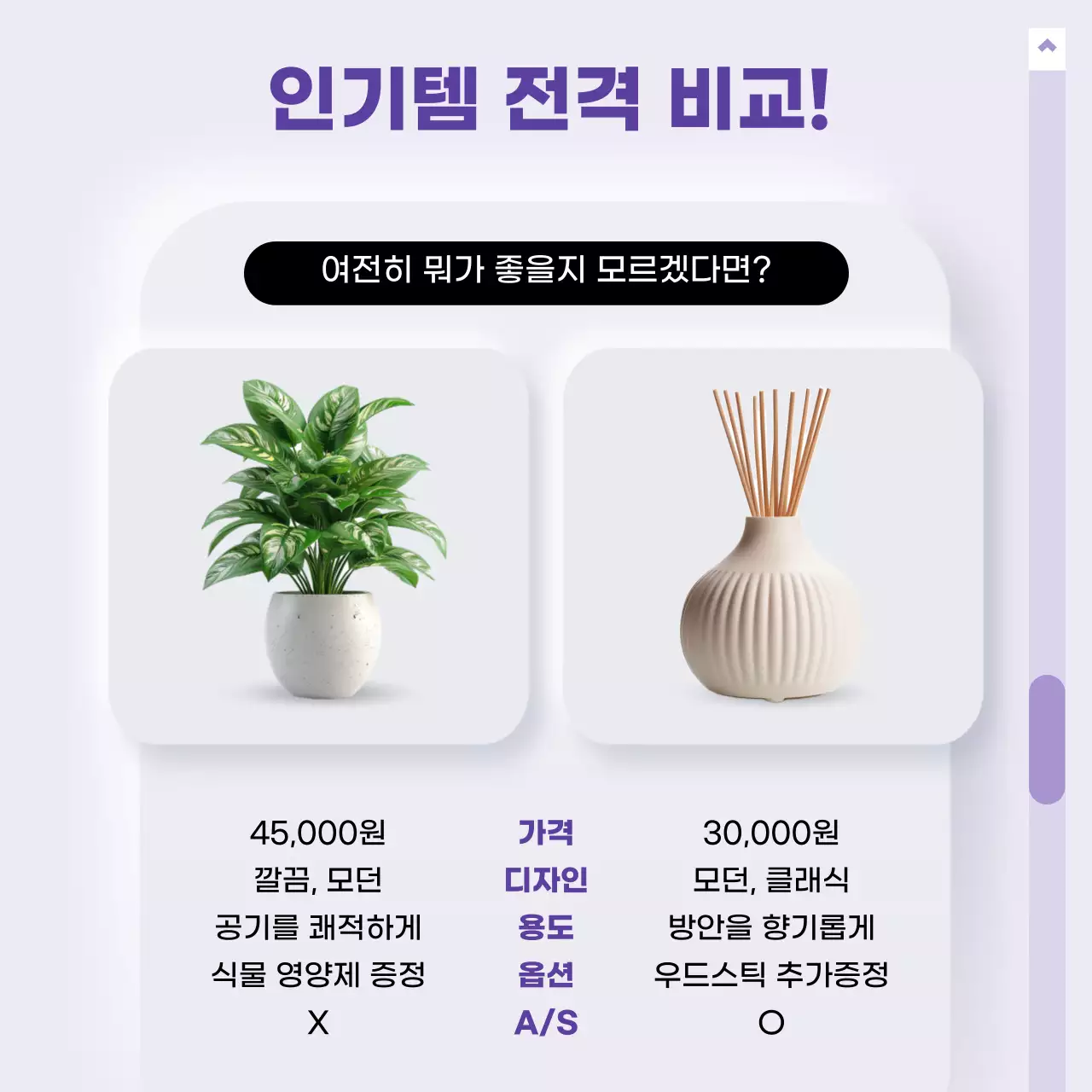 보라 깔끔 선물 제안