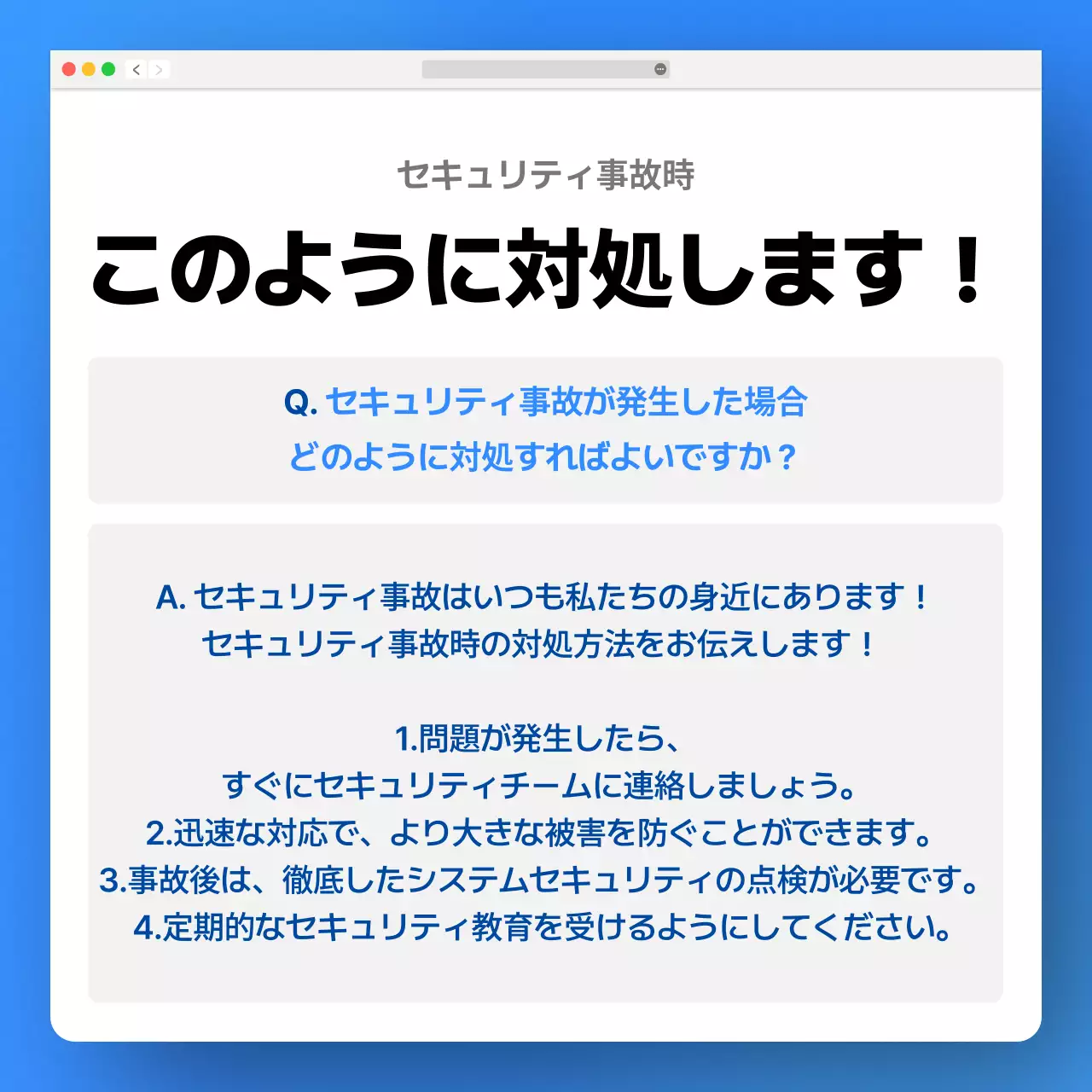 青 ポップ セキュリティ プラン