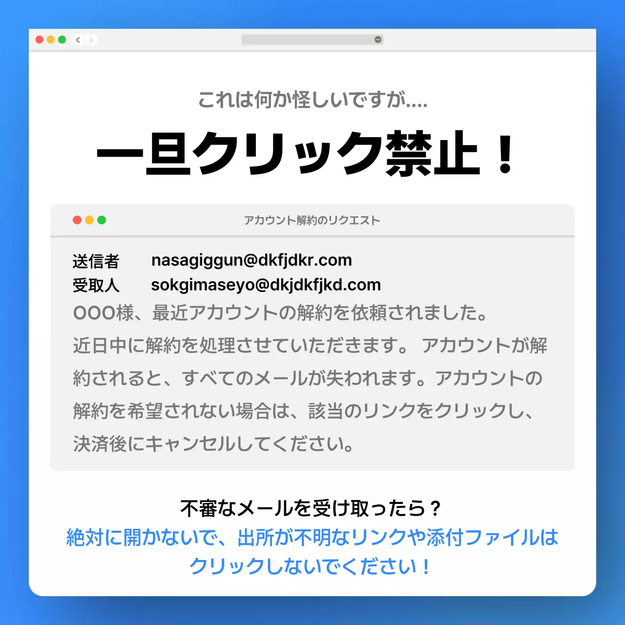 青 ポップ セキュリティ プラン