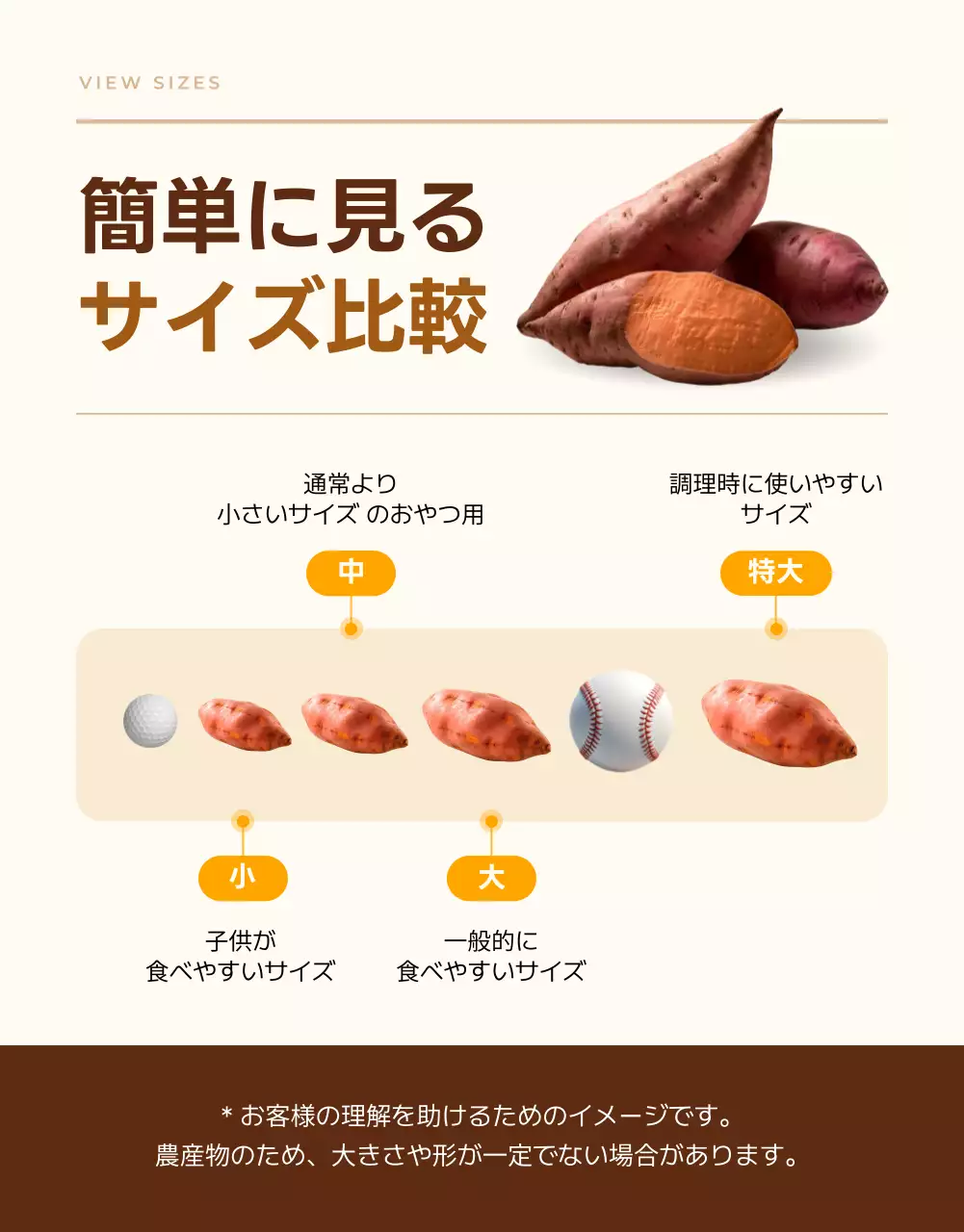 茶色 ナチュラル 農産物 チラシ