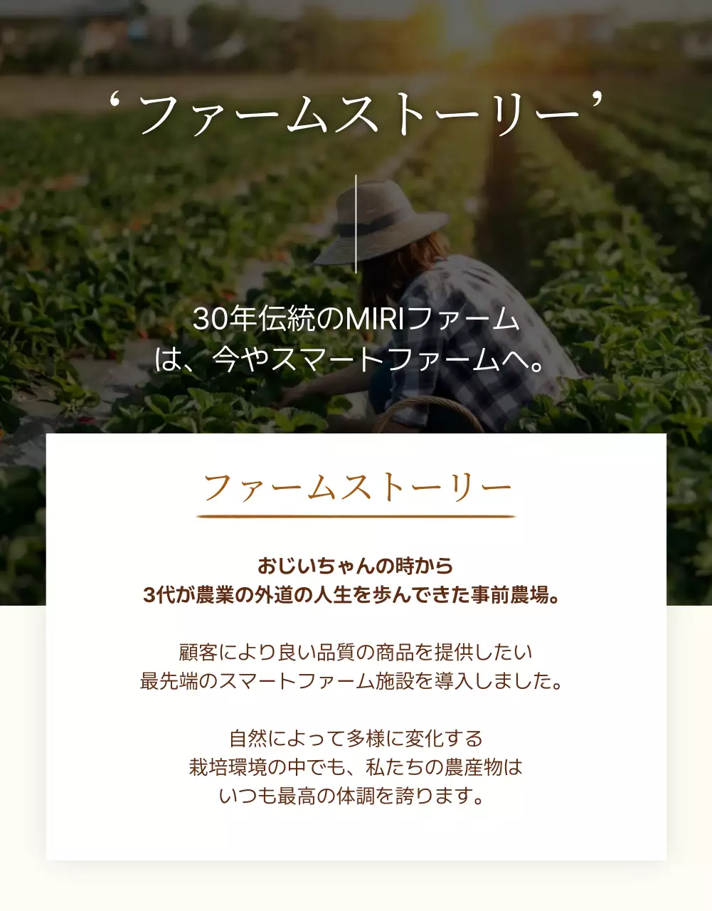 茶色 ナチュラル 農産物 チラシ