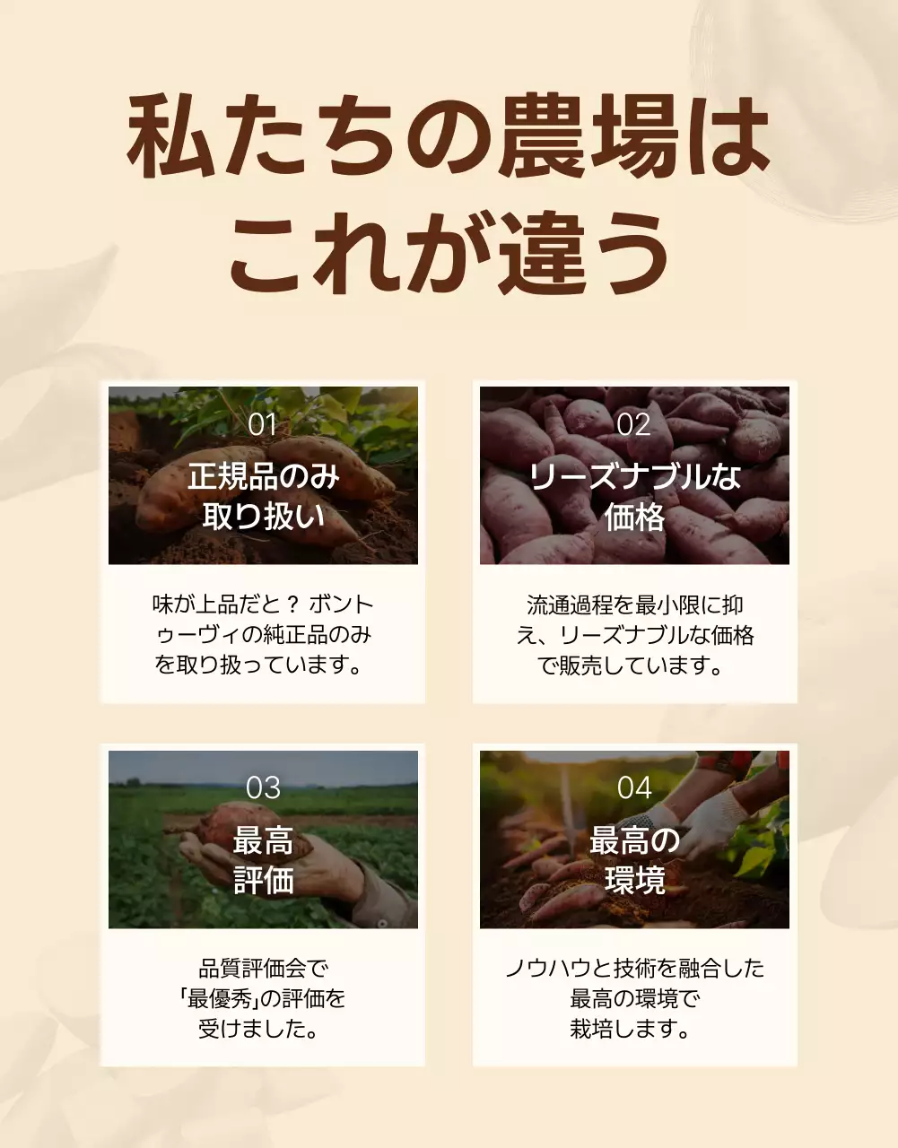 茶色 ナチュラル 農産物 チラシ