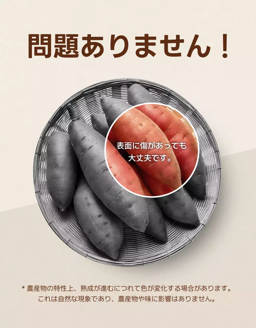 茶色 ナチュラル 農産物 チラシ