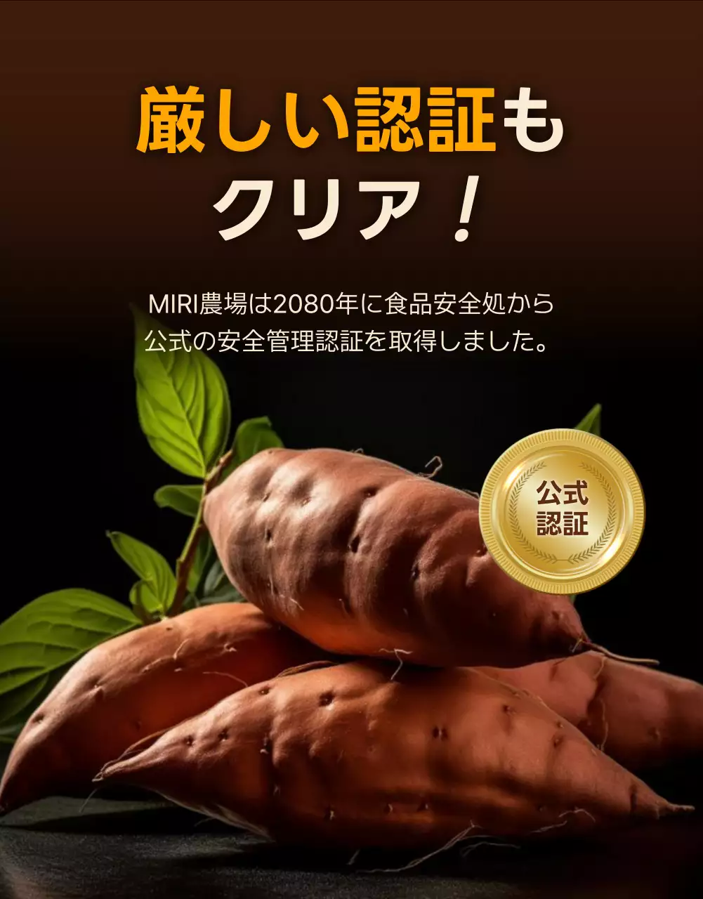 茶色 ナチュラル 農産物 チラシ