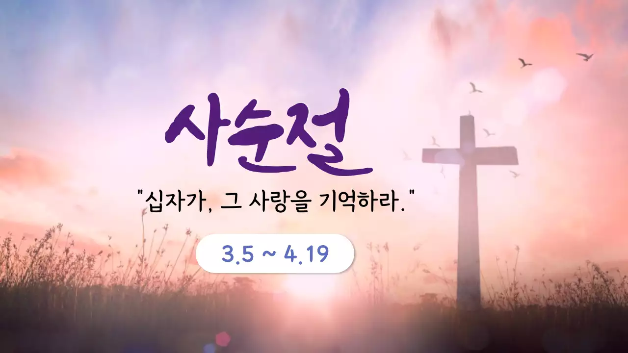 연보라 클래식 종교 행사