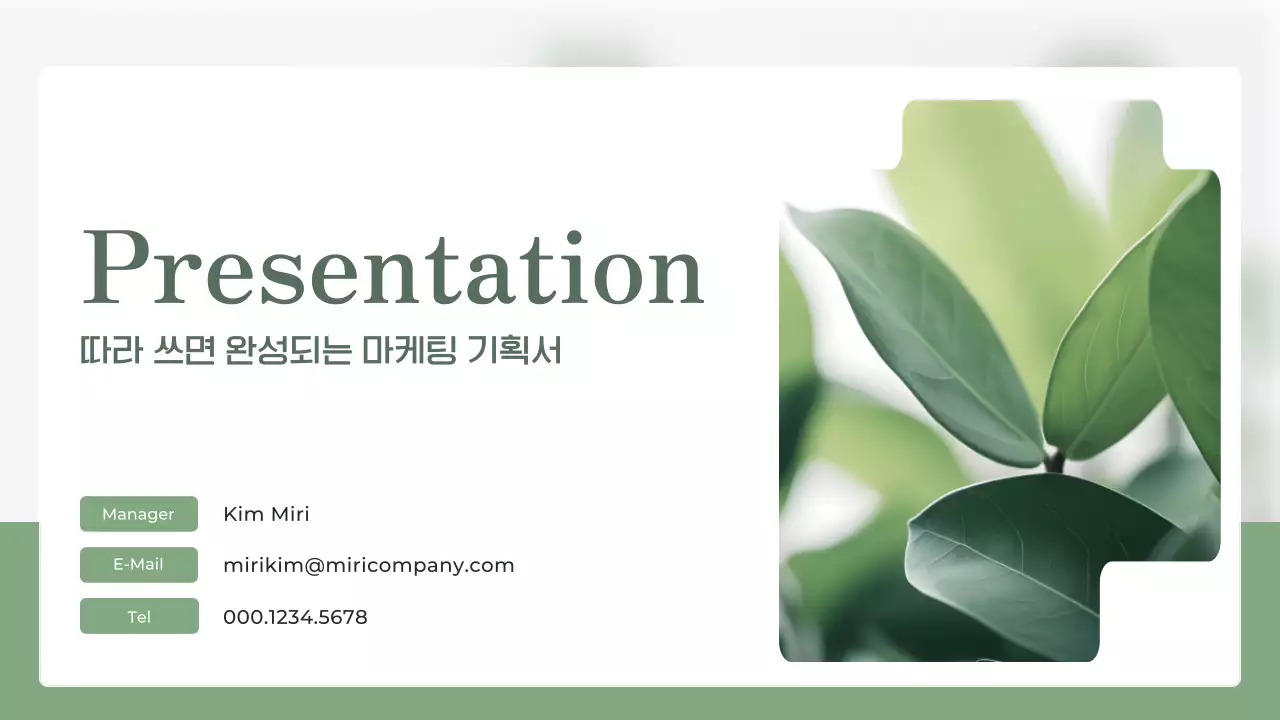 초록의 깔끔한 식물 이미지가 있는 보고서