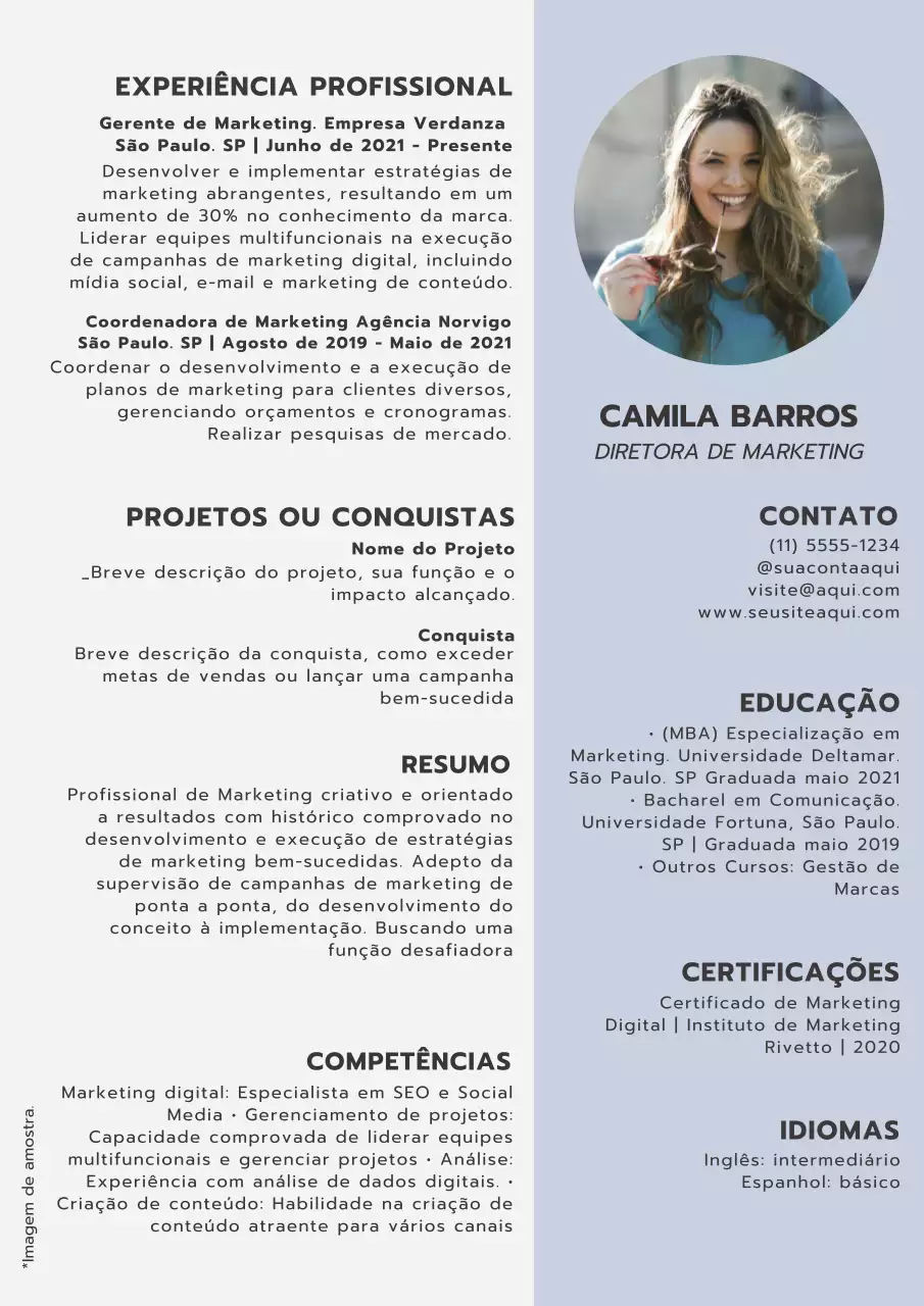 Introdução ao currículo de gestor de marketing moderno em cinzento e azul