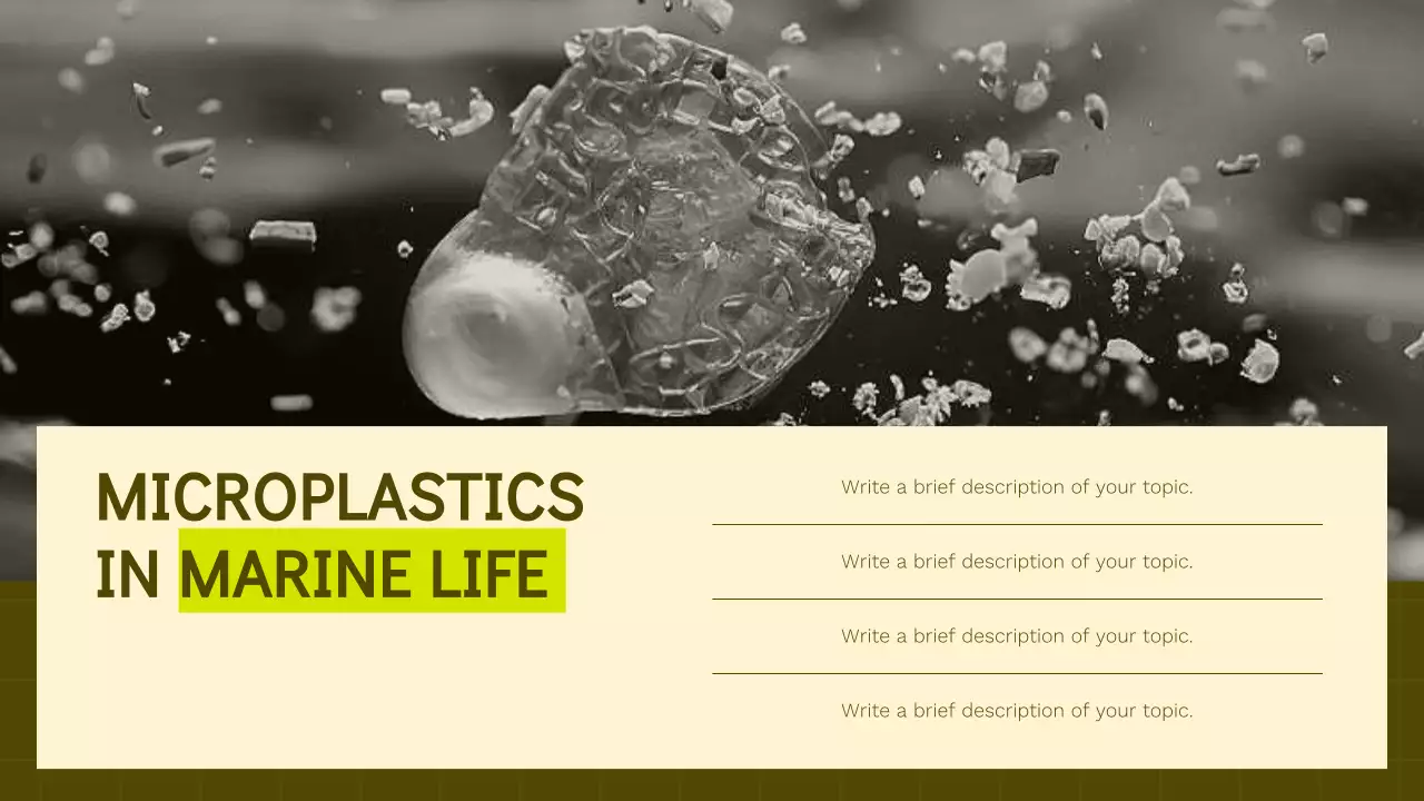 Bài thuyết trình hướng dẫn quản lý chất thải hiện đại xanh