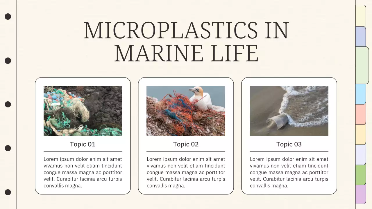 Beige Minimal Sustainability Lecture Presentation